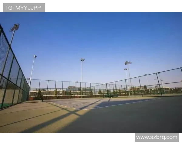 西安网球队整体表现分析：优势与不足的深度剖析